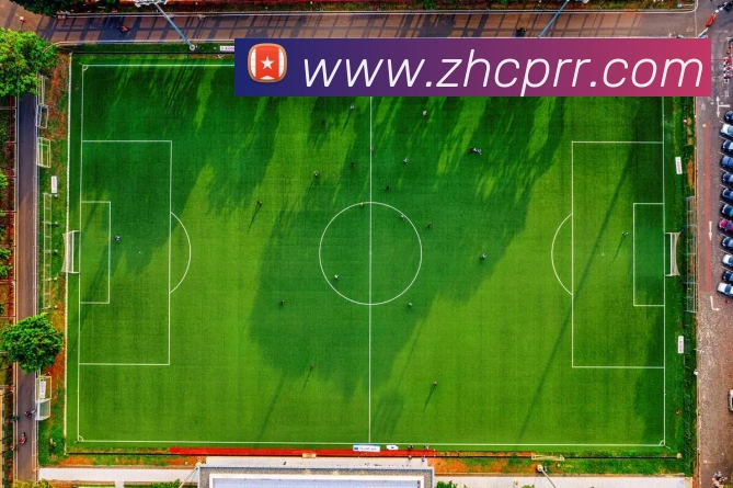 网上购彩票平台生态图