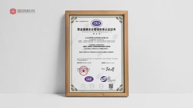 1、ISO45001、14三大管理体系复审pg模拟器试玩国鸿防水成功通过ISO900(图3)